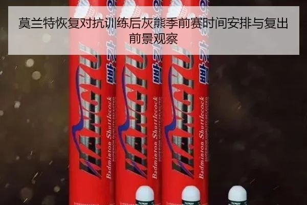 莫兰特恢复对抗训练后灰熊季前赛时间安排与复出前景观察